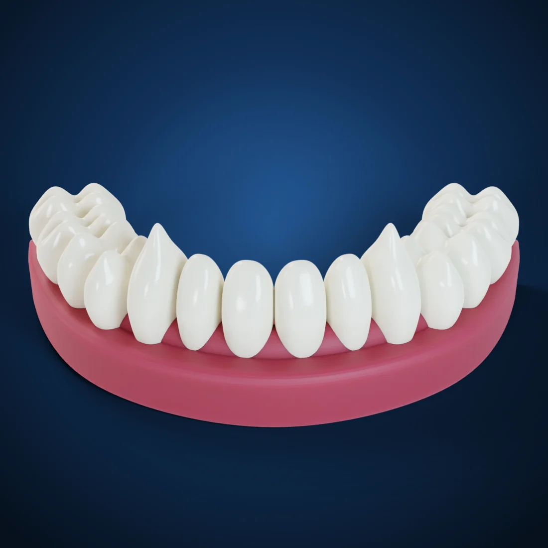 Acrylic set-up teeth (3D render)
